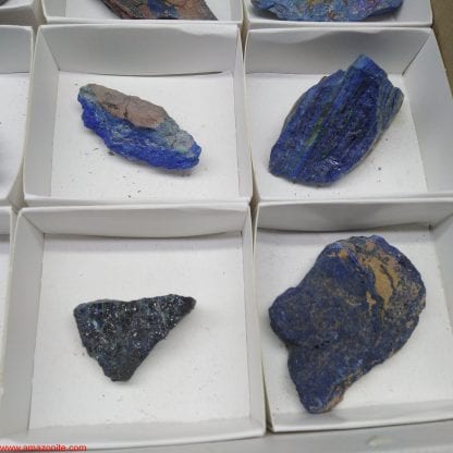 One Box of 12 Azurite Mineral Specimens from The Congo. - Image 2