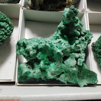 One Box of 6 Assorted Malachite Mineral Specimens From Congo Rachel Linderman - Image 3