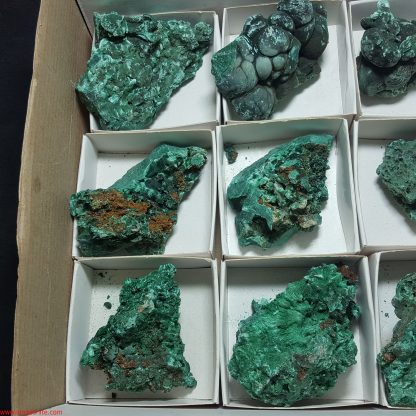 One Box Of 12 Malachite Mineral Specimens From Congo - Image 3