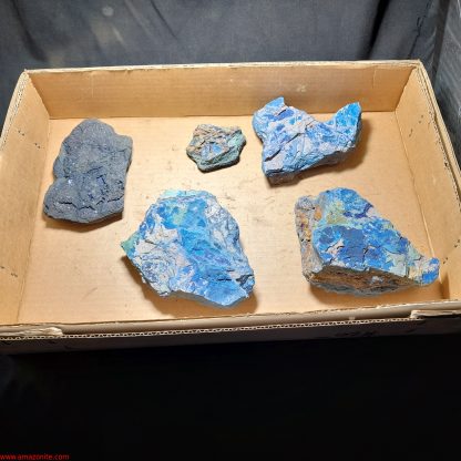 One Box Of 5 Azurite Mineral Specimens From Congo (Clearance Sale)