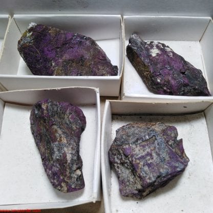 One Box of 41 Purpurite Mineral Specimens From Uis - Image 5