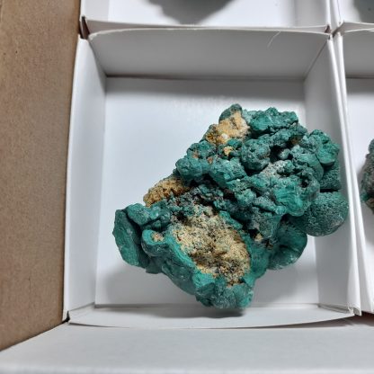 One Box Of 6 Malachite Mineral Specimens From Congo Chrispian Boyde - Image 4