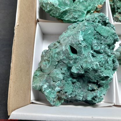 One Box Of 6 Malachite Mineral Specimens From Congo Katy Crawford - Image 4