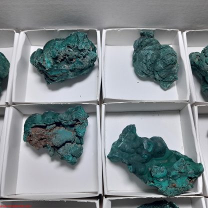 One Box Of 12 Malachite Mineral Specimens From Congo Rachel linderman - Image 6