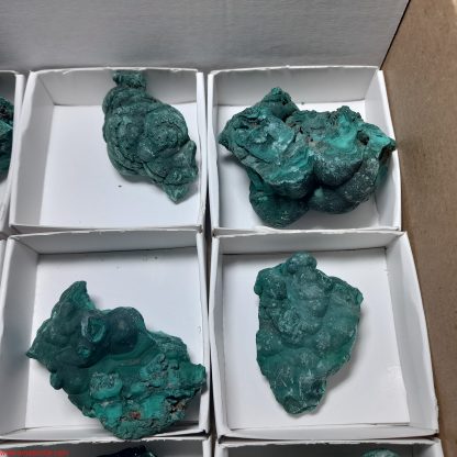 One Box Of 12 Malachite Mineral Specimens From Congo Rachel linderman - Image 7