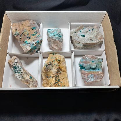 One Box Of 6 Dioptase Mineral Specimens From Erongo Vance Hewitt