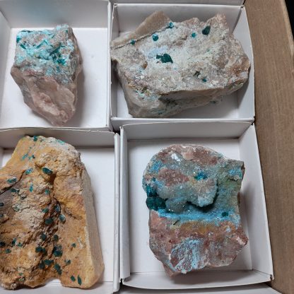 One Box Of 6 Dioptase Mineral Specimens From Erongo Vance Hewitt - Image 5