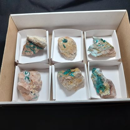 One Box Of 6 Dioptase Mineral Specimens From Erongo Vance Hewitt