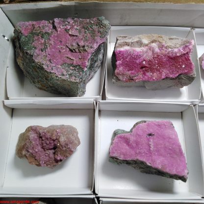 One Box of 12 Colbaltion Calcite Mineral Specimens From Congo Josh Meyers - Image 5