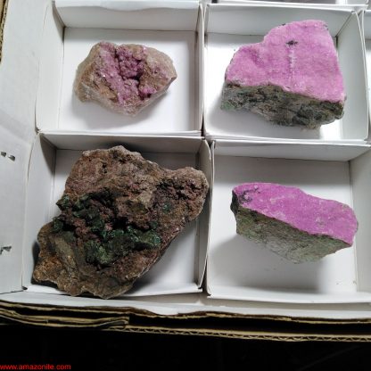 One Box of 12 Colbaltion Calcite Mineral Specimens From Congo Josh Meyers - Image 3