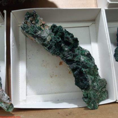 One Box of 5 Malachite with Quartz Mineral Specimens From Congo Ekizabeth Hazell - Image 3