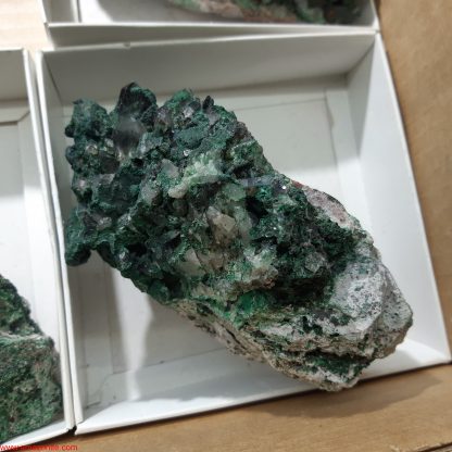 One Box of 5 Malachite with Quartz Mineral Specimens From Congo Ekizabeth Hazell - Image 2