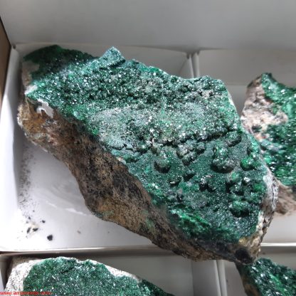 One Box of 6 Malachite Mineral specimens From Congo Rachel Linderman - Image 6