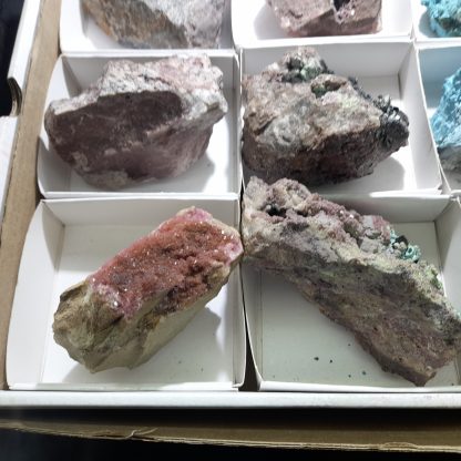 One Box Of 12 Assorted Mineral Specimens From Congo Carrie Vincent - Image 3