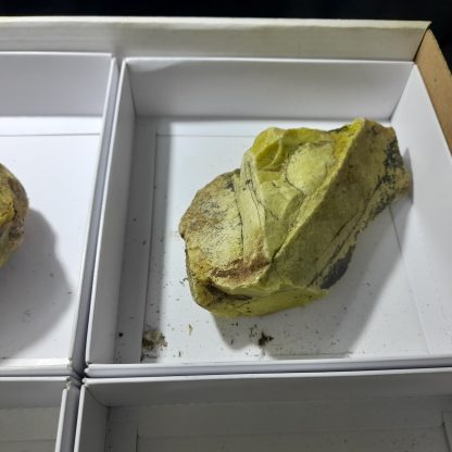 One Box Of 6 Green Opal (Cutting Material) Mineral Specimens From Mali Viki Stelfox - Image 7