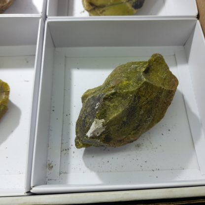 One Box Of 6 Green Opal (Cutting Material) Mineral Specimens From Mali Viki Stelfox - Image 8