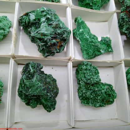 One Box of 15 Silky Malachite Mineral Specimens From Congo  Randy Campbell - Image 3