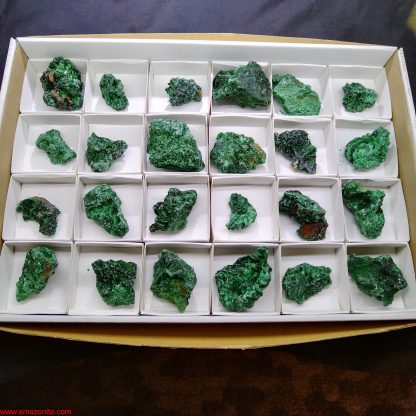 One Box of 24 Silky Malachite Mineral Specimens From Congo