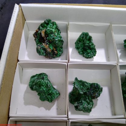 One Box of 24 Silky Malachite Mineral Specimens From Congo - Image 7
