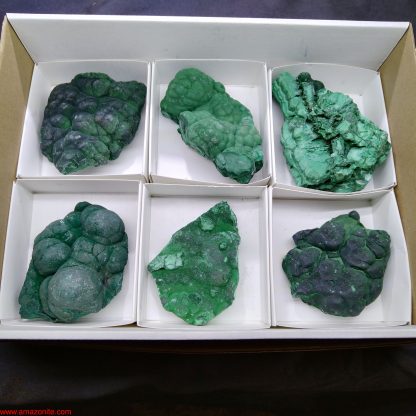(WM3506) One Box of 6 Botryoidal Malachite Mineral Specimens From Congo