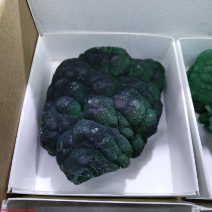 (WM3506) One Box of 6 Botryoidal Malachite Mineral Specimens From Congo - Image 8