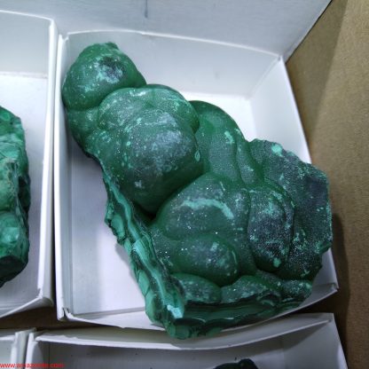 (WM3506) One Box of 6 Botryoidal Malachite Mineral Specimens From Congo - Image 6