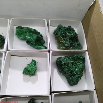 (WM03548) One Box of 12 Malachite Mineral Specimens From Congo - Image 4