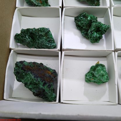 (WM03548) One Box of 12 Malachite Mineral Specimens From Congo - Image 3