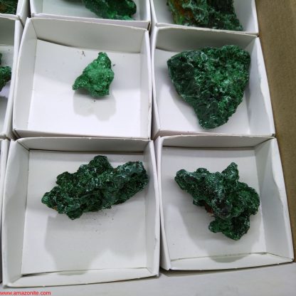 (WM03548) One Box of 12 Malachite Mineral Specimens From Congo - Image 2