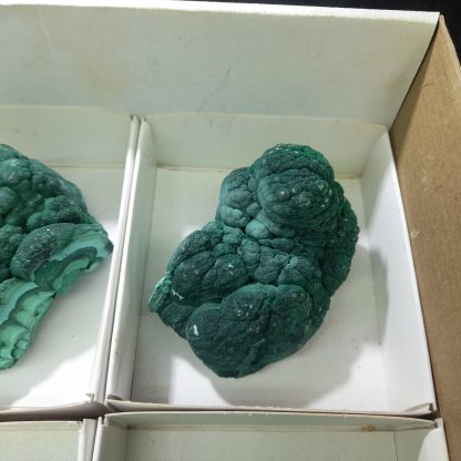 (WM03665) One Box Of 6 Malachite Mineral Specimens From Congo - Image 7