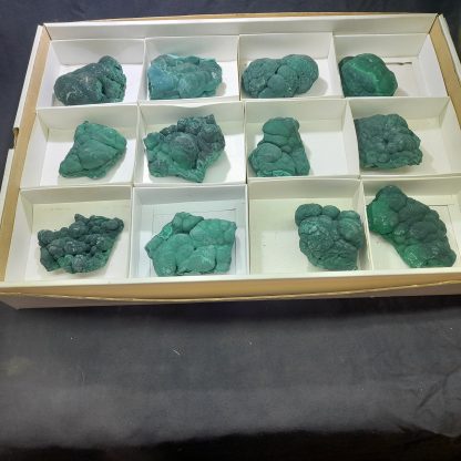 (WM03668) One Box Of 12 Malachite Mineral Specimens From Congo