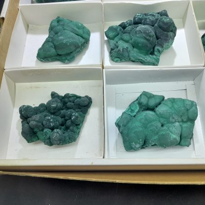 (WM03668) One Box Of 12 Malachite Mineral Specimens From Congo - Image 4