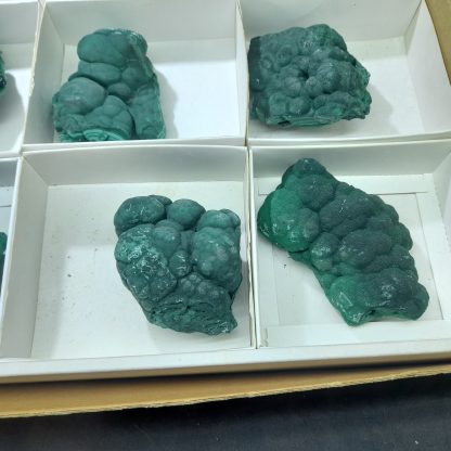 (WM03668) One Box Of 12 Malachite Mineral Specimens From Congo - Image 5