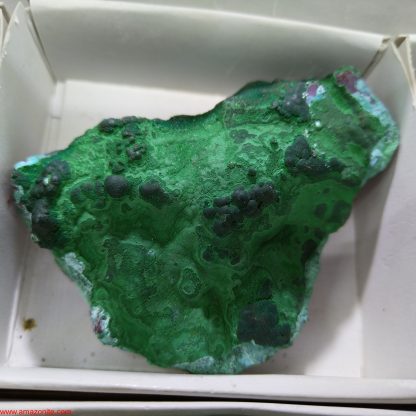 (WM03561) One Box of 6 Malachite Mineral Specimens From Congo - Image 6