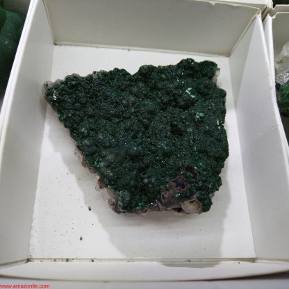 (WM03570) One Box of 6 Malachite Mineral Specimens From Congo (Lawson Perry) - Image 3