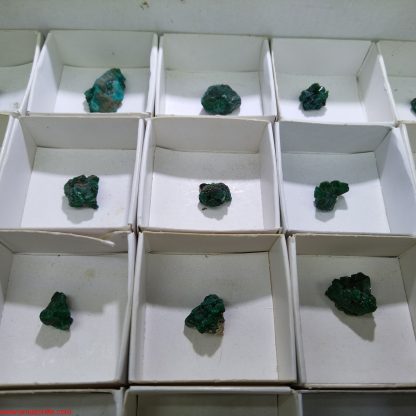 (WM03590) One Box of 35 Dioptase Mineral Specimens From Congo Josh Meyers - Image 6