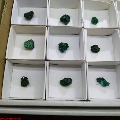 (WM03590) One Box of 35 Dioptase Mineral Specimens From Congo Josh Meyers - Image 4