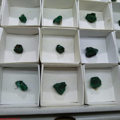 (WM03590) One Box of 35 Dioptase Mineral Specimens From Congo Josh Meyers - Image 3