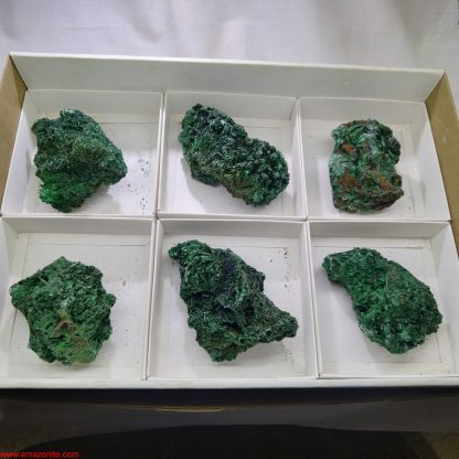 (WM03632) One Box of 6 Silky Malachite Mineral specimens From Congo  Rachel Linderman