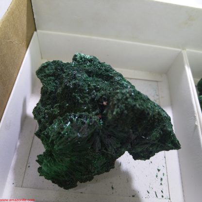 (WM03632) One Box of 6 Silky Malachite Mineral specimens From Congo  Rachel Linderman - Image 8