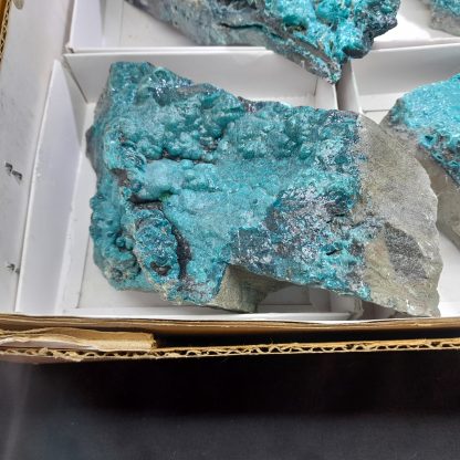 (WM03694) One Box Of 6 Chrysocolla Mineral Specimens From Congo - Image 4
