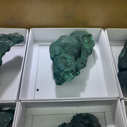 (WM03735) One Box Of 6 Malachite Mineral Specimens From Congo - Image 6