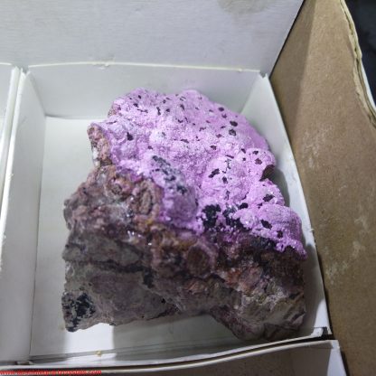 (WM03677) One Box of 6 Colbaltion Calcite Mineral Specimens From Congo Demetrius Reeves - Image 6