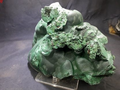 (LGM031) Large Botryoidal Malachite Mineral Specimen From Congo (Congrats on your TSI Josh Meyers) - Image 6