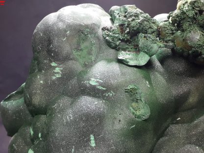 (LGM031) Large Botryoidal Malachite Mineral Specimen From Congo (Congrats on your TSI Josh Meyers) - Image 5