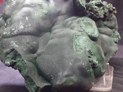 (LGM031) Large Botryoidal Malachite Mineral Specimen From Congo (Congrats on your TSI Josh Meyers) - Image 4