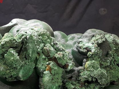 (LGM031) Large Botryoidal Malachite Mineral Specimen From Congo (Congrats on your TSI Josh Meyers) - Image 2