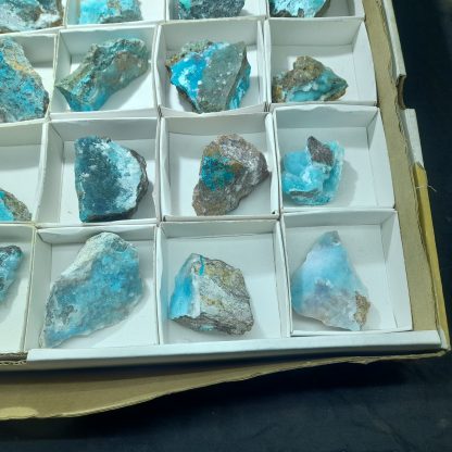 (WM03897) One Box Of 24 Chrysocolla Mineral Specimens From Congo  Erin Mohlstrom - Image 5