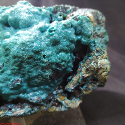 (LGM061) Big Chrysocolla with Heterogenite and Malachite Traces  From Congo Congrats on your TSI Michael Brodhagen - Image 9