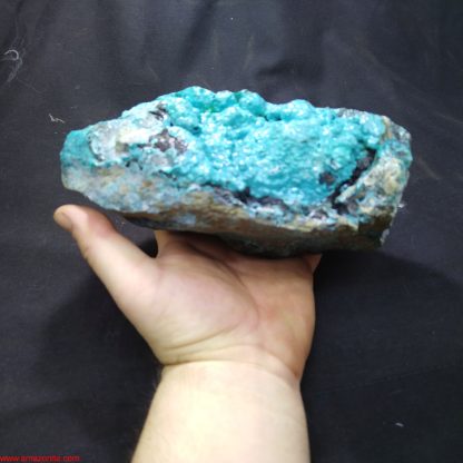 (LGM061) Big Chrysocolla with Heterogenite and Malachite Traces  From Congo Congrats on your TSI Michael Brodhagen - Image 7